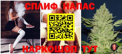 гашик Дубна