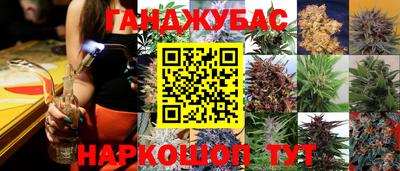 эйфоретик Донской