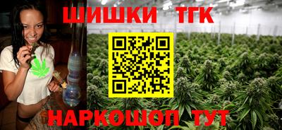 гашик Дубна