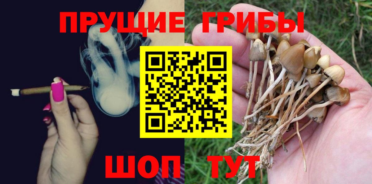 Лыткарино  Галлюциногенные грибы Cubensis  магазин  наркотиков  Вход с VPN 