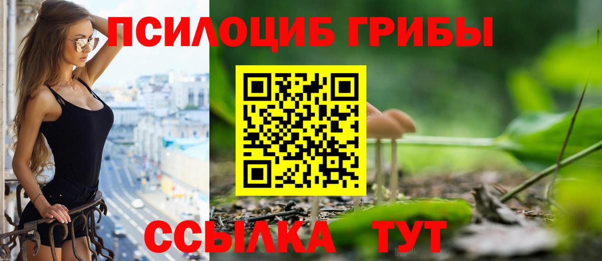 Псилоцибиновые грибы Psilocybe Лыткарино